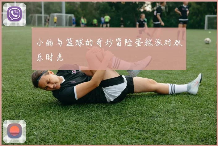 小狗与篮球的奇妙冒险蛋糕派对欢乐时光