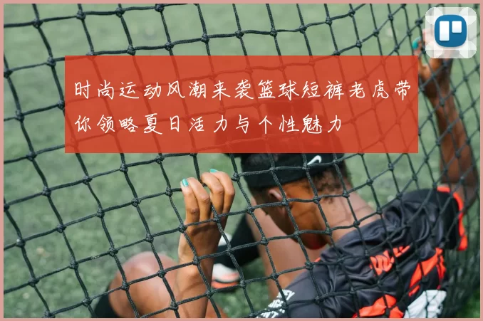 时尚运动风潮来袭篮球短裤老虎带你领略夏日活力与个性魅力