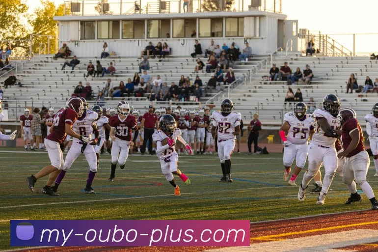 App Interface Preview